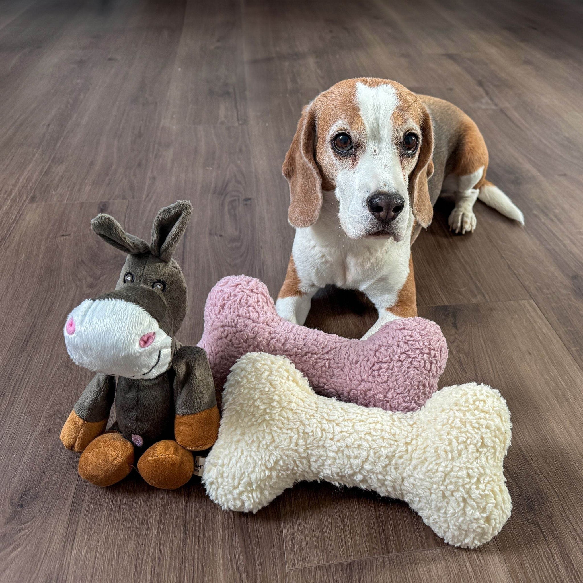 2 Stck Hundespielzeug Unzerstrbar Quietschend  Weiches Welpenspielzeug  Fr Kleine, Mittelgroe & Groe Hunde 2026 Robustes Hundespielzeug Fr  Groe Hunde