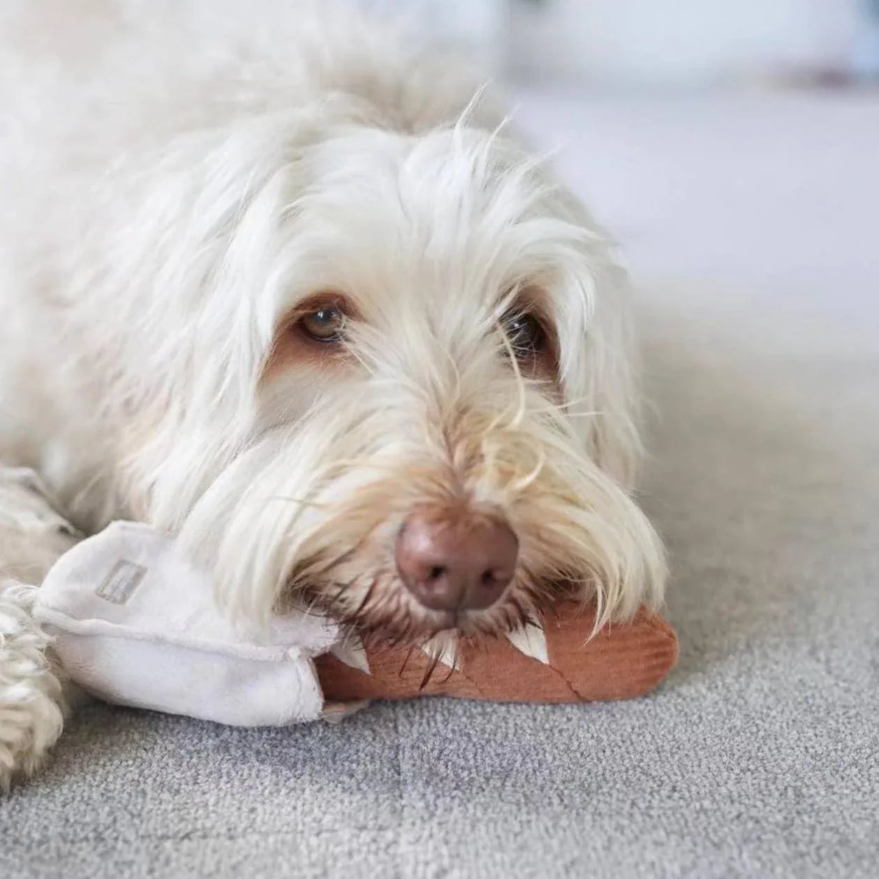 Lambwolf Mini-Baguette Schnüffelspielzeug für kleine Hunde - Beagletuff