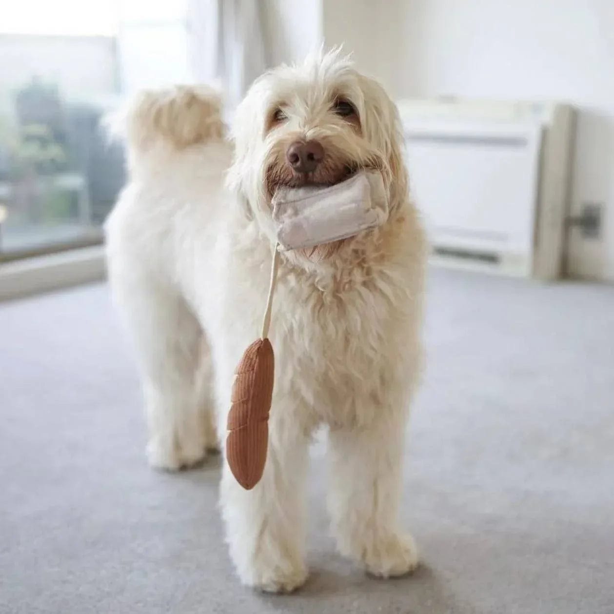 Lambwolf Mini-Baguette Schnüffelspielzeug für kleine Hunde - Beagletuff