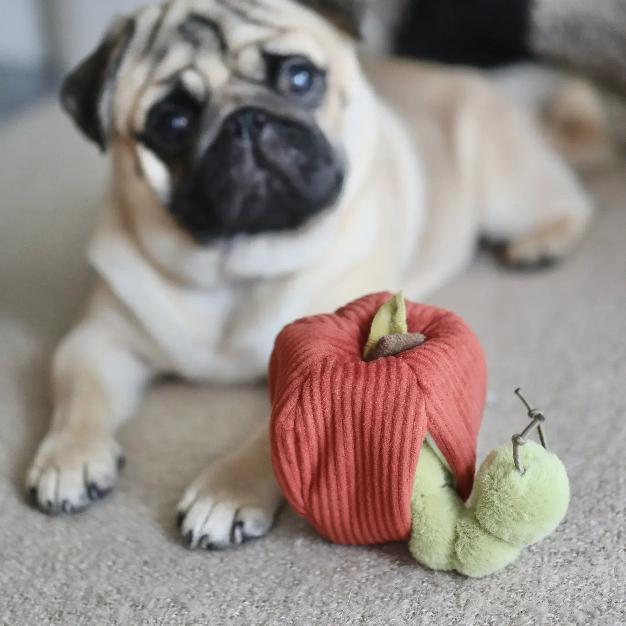 Lambwolf Apple Versteckspielzeug mit Raupe - Beagletuff