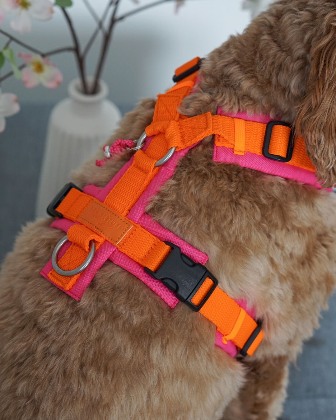 BT EasyWalk® Tira – Hundegeschirr in Orange & Pink