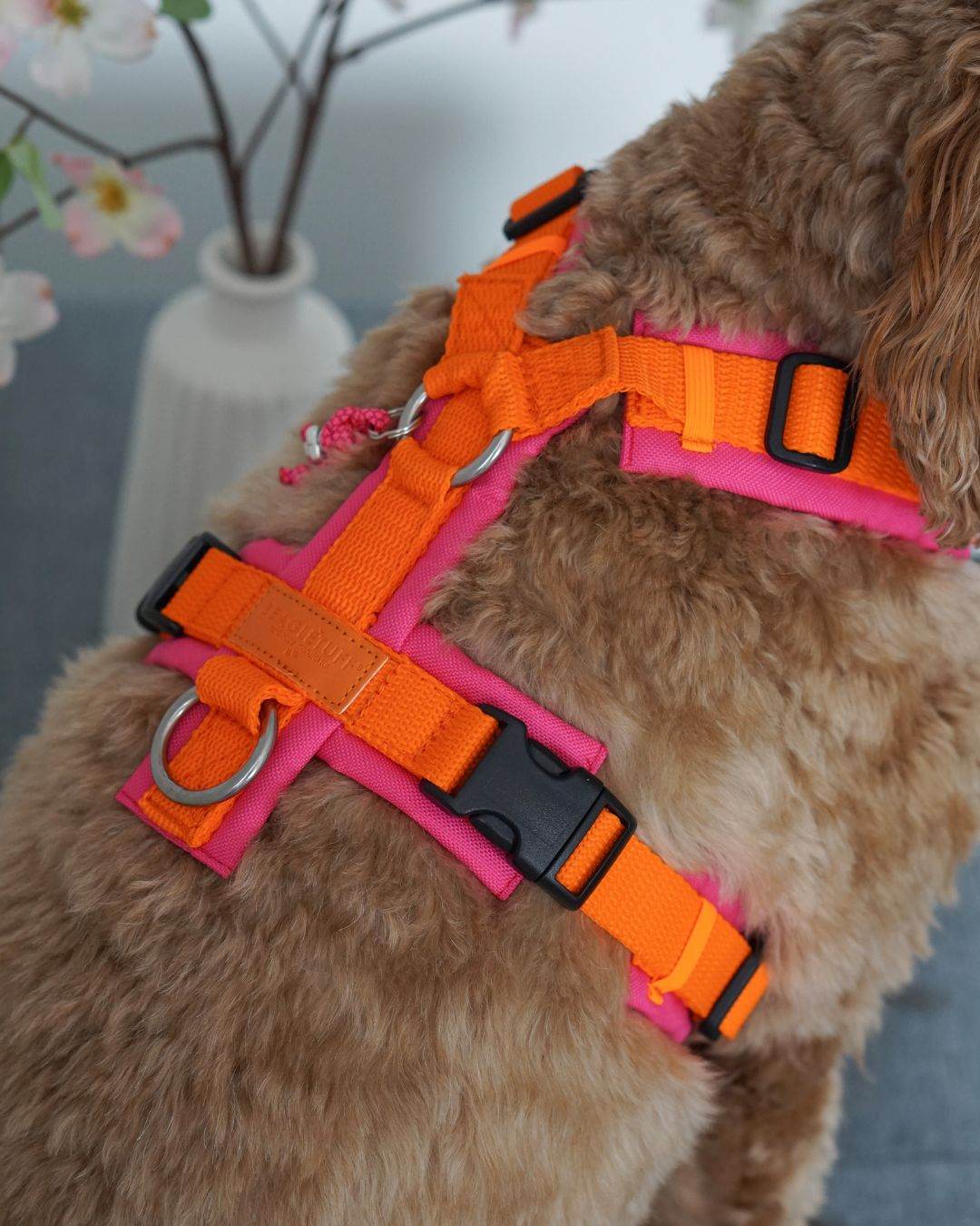 BT EasyWalk® Tira – Hundegeschirr in Orange & Pink - Beagletuff
