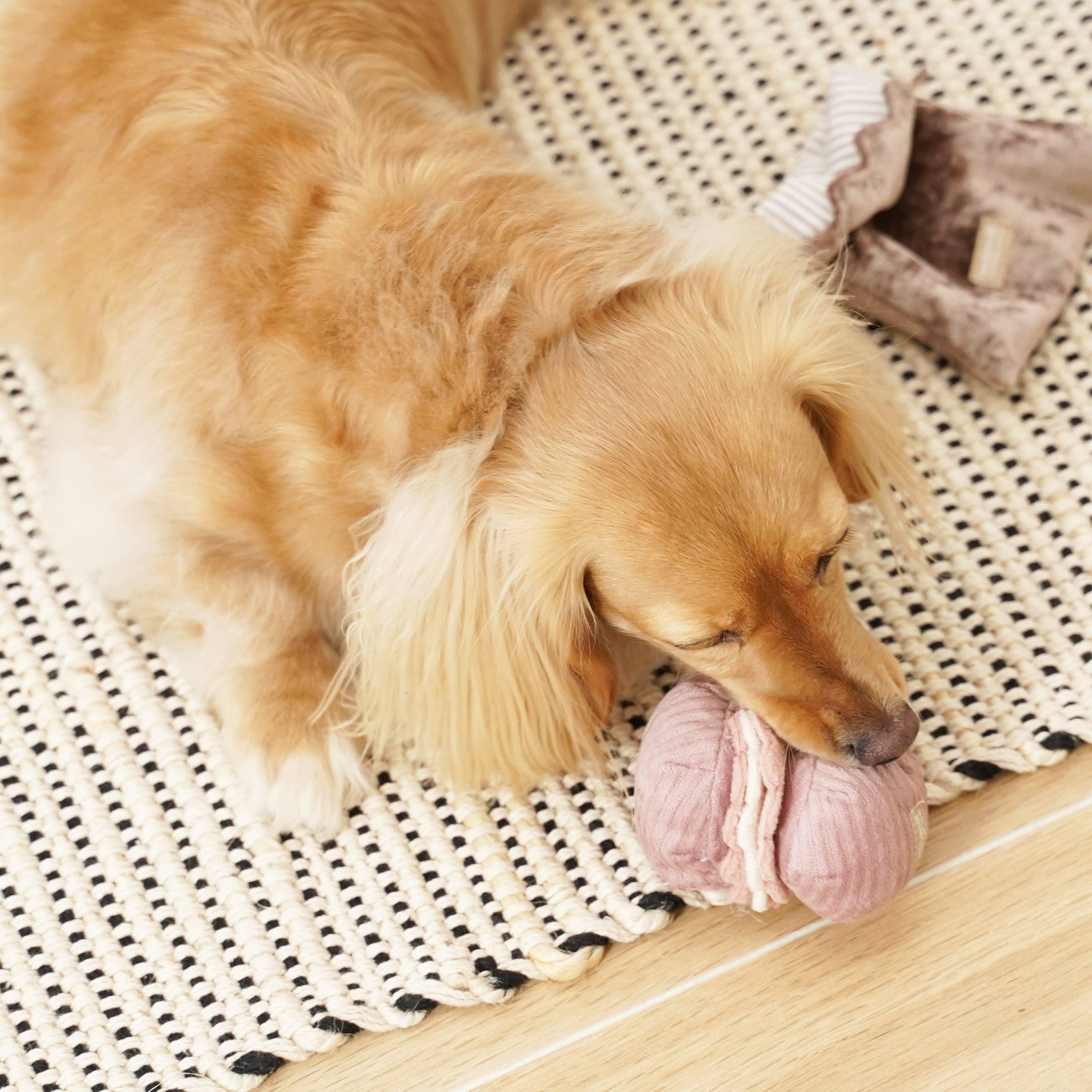 Lambwolf Kleine Zwei Mini-Schnüffelset für kleine Hunde - Beagletuff