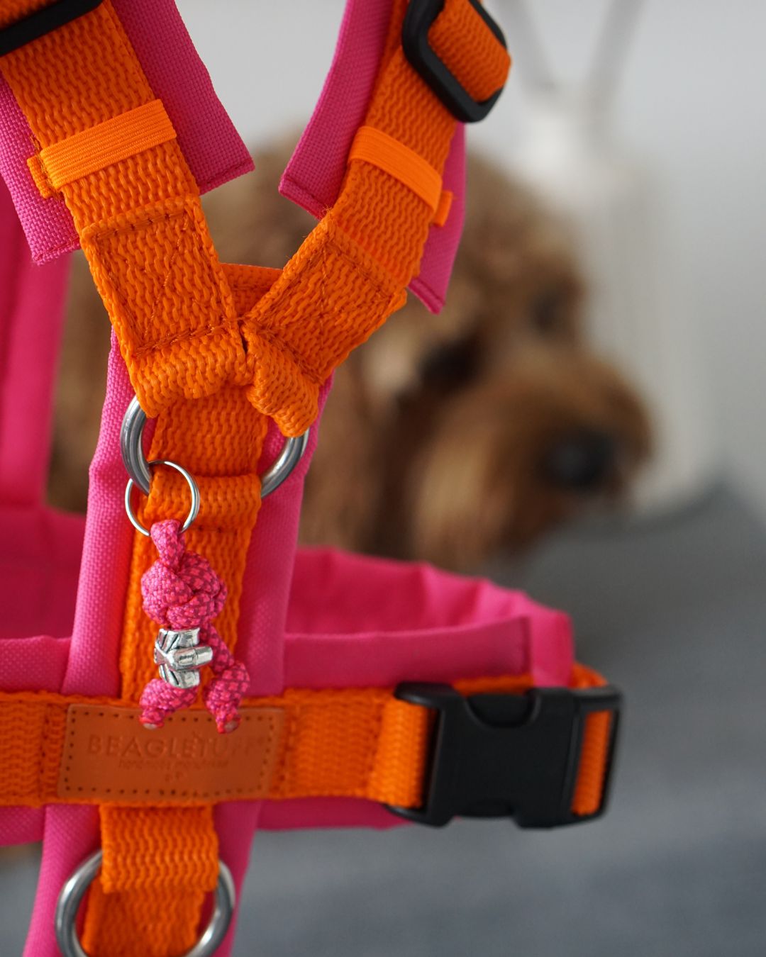BT EasyWalk® Tira – Hundegeschirr in Orange & Pink