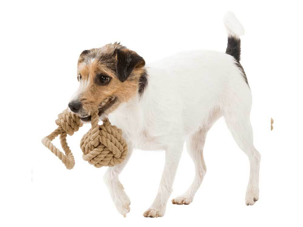 BE NORDIC Spieltau mit eingeflochtenem Ball - Beagletuff