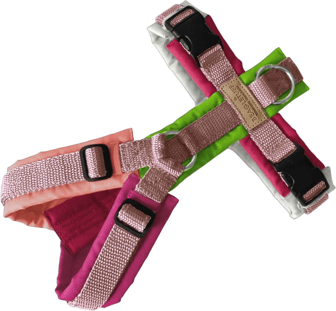 BT EasyWalk® Bunt - Beagletuff