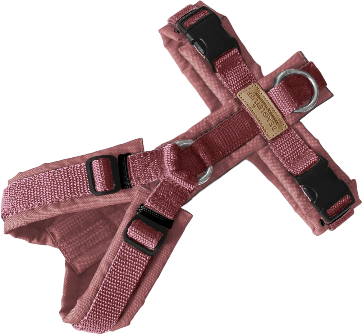 BT EasyWalk - Beagletuff