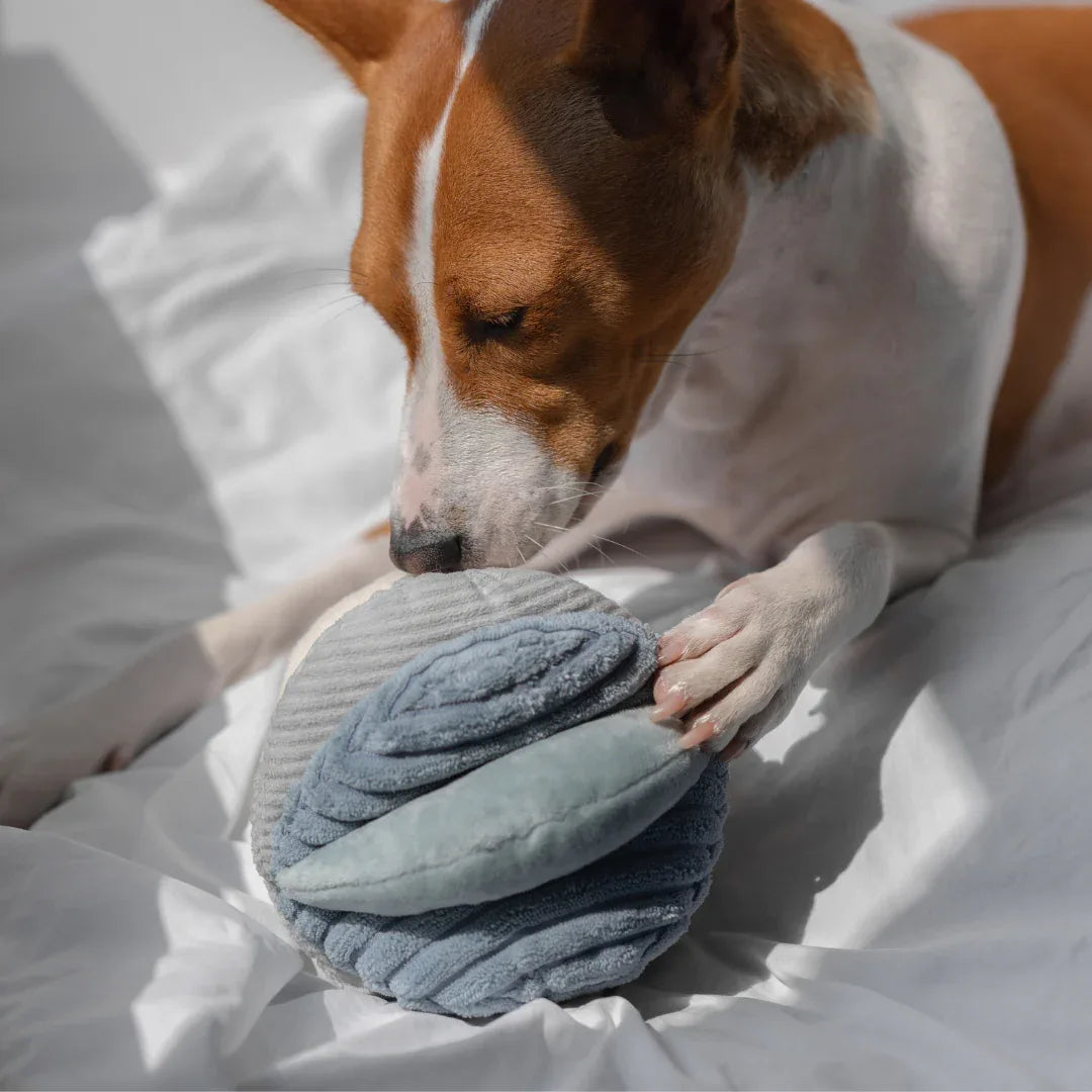 Lambwolf TOTO Schnüffelball für Nasenarbeit und Beschäftigung - Beagletuff