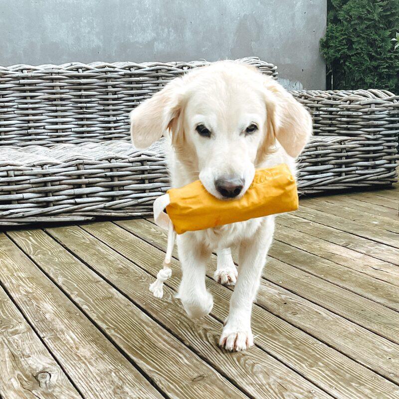 Futter Dummy aus Bio-Canvas "Clara" - Beagletuff