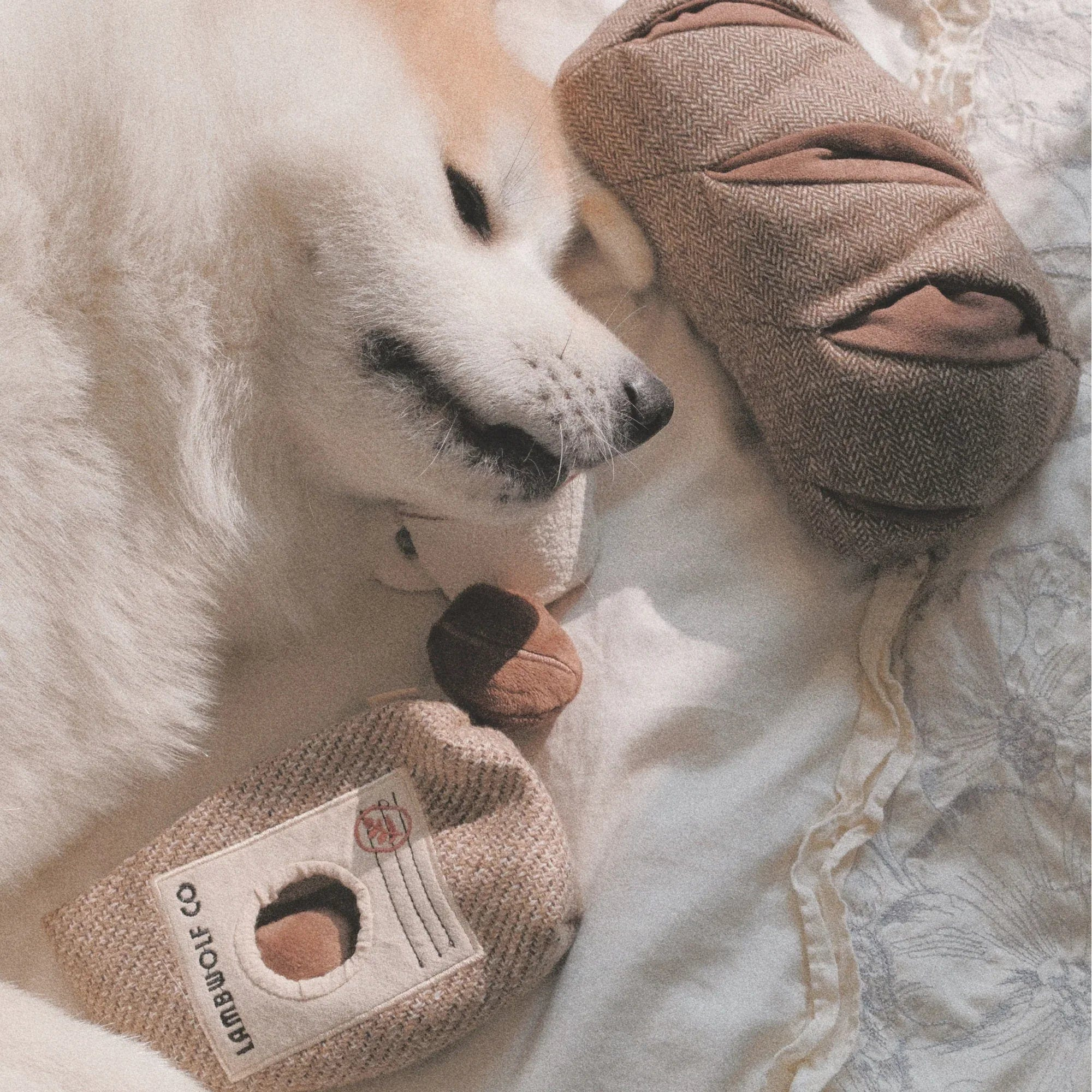 Lambwolf Coffee Beans Schnüffelspielzeug mit 3 Quietscher Kaffeebohnen Produktbild von Beagletuff