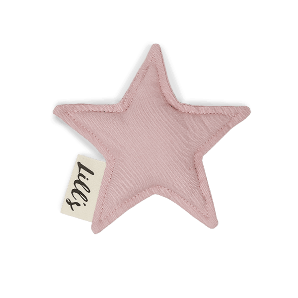 Hundespielzeug Stern - Beagletuff