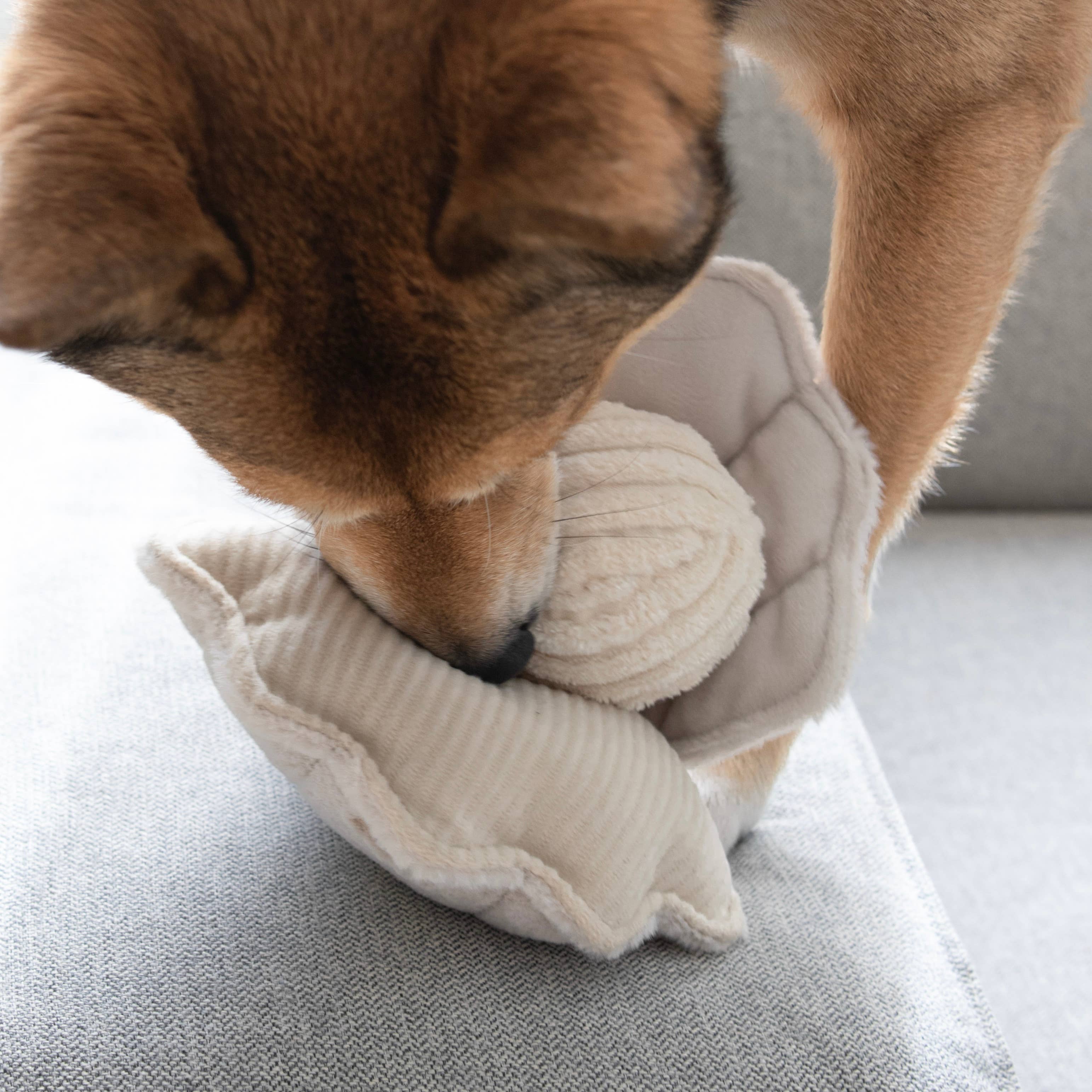 Lambwolf Oyster Pop Schnüffelspielzeug mit Ball und Quietscher Produktbild von Beagletuff