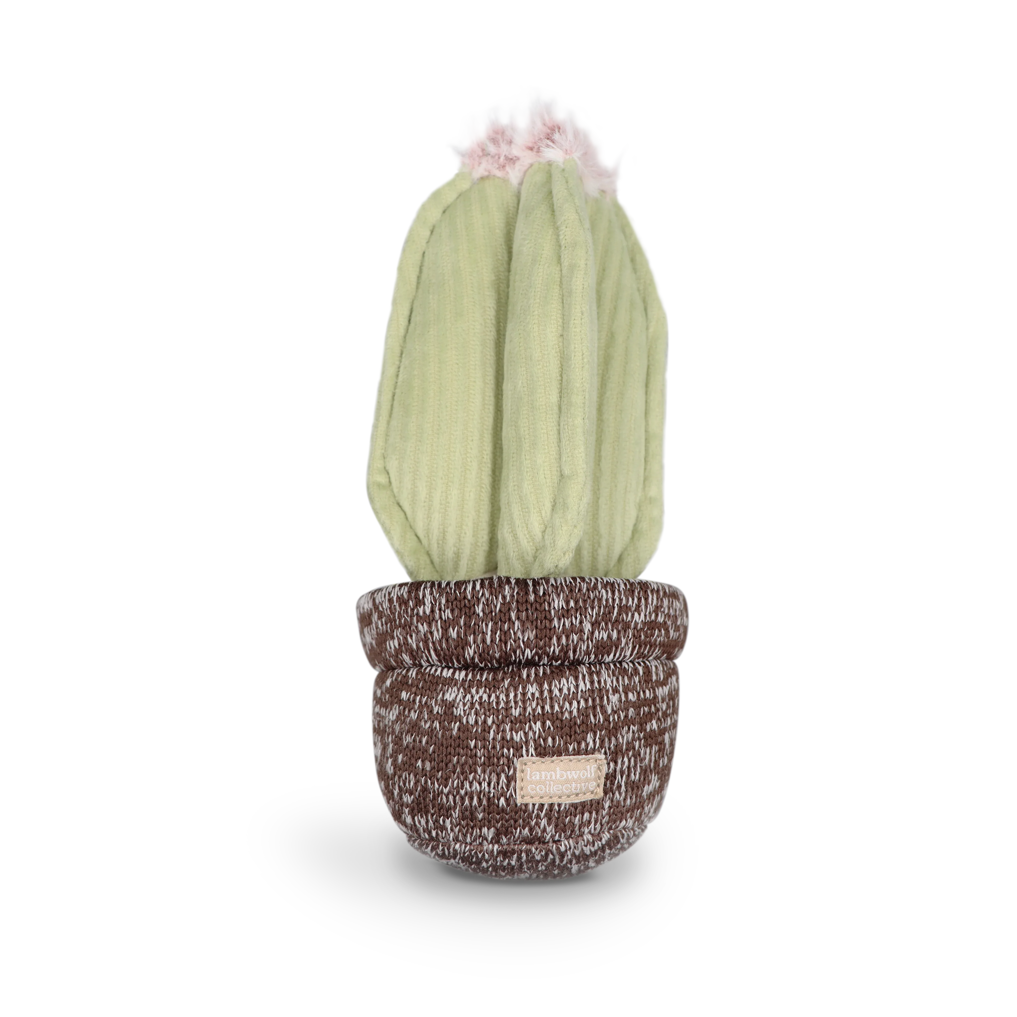 Lambwolf Cactus Schnüffelspielzeug mit 4 Leckerli Verstecken und Quietscher