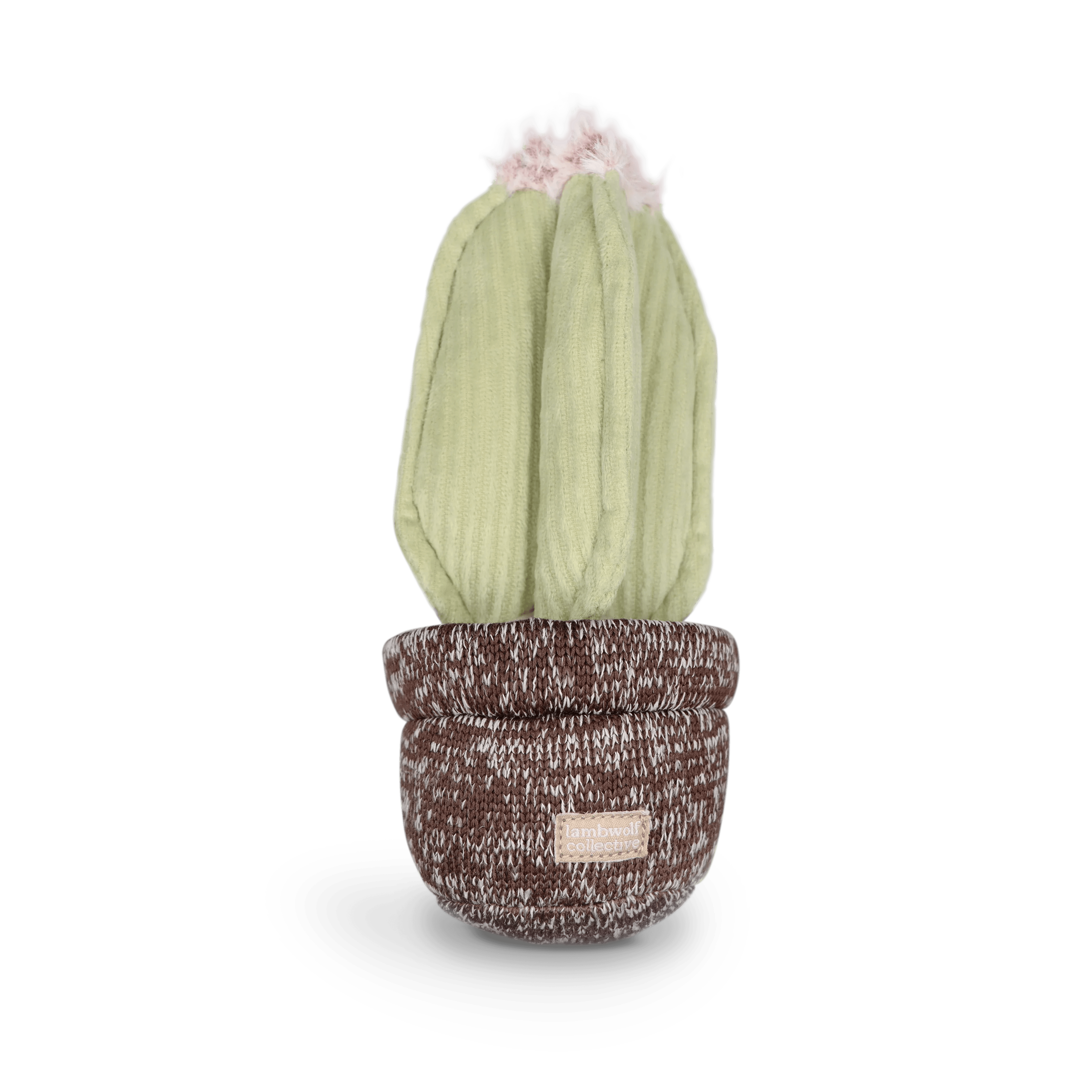 Lambwolf Cactus Schnüffelspielzeug mit 4 Leckerli Verstecken und Quietscher
