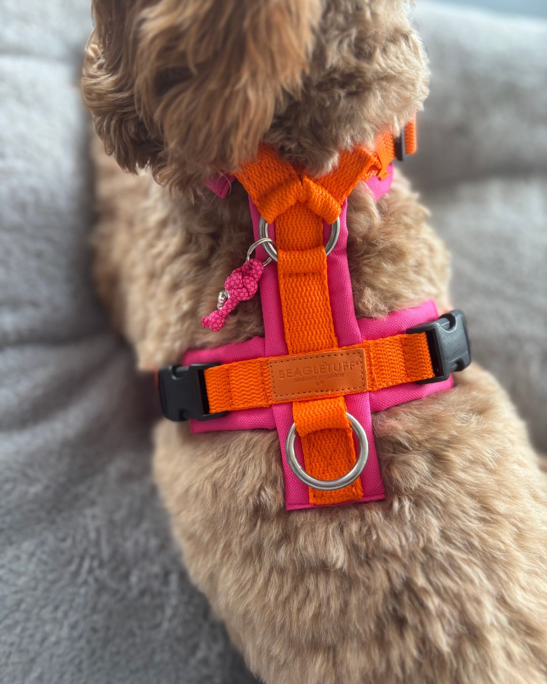 BT EasyWalk® Tira – Hundegeschirr in Orange & Pink