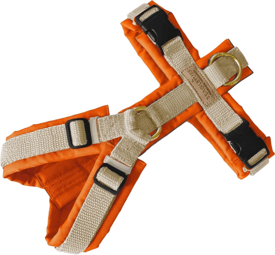 BT EasyWalk Tira Hundegeschirr in Neonorange und Beige, gepolstertes Y-Geschirr mit beigem Gurtband, schwarzen Schnallen und Messingringen.