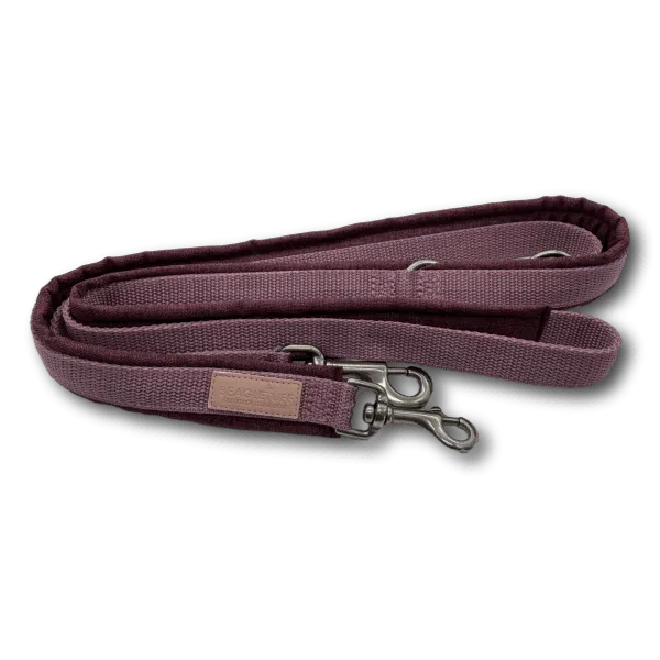 BT Führleine - Beagletuff