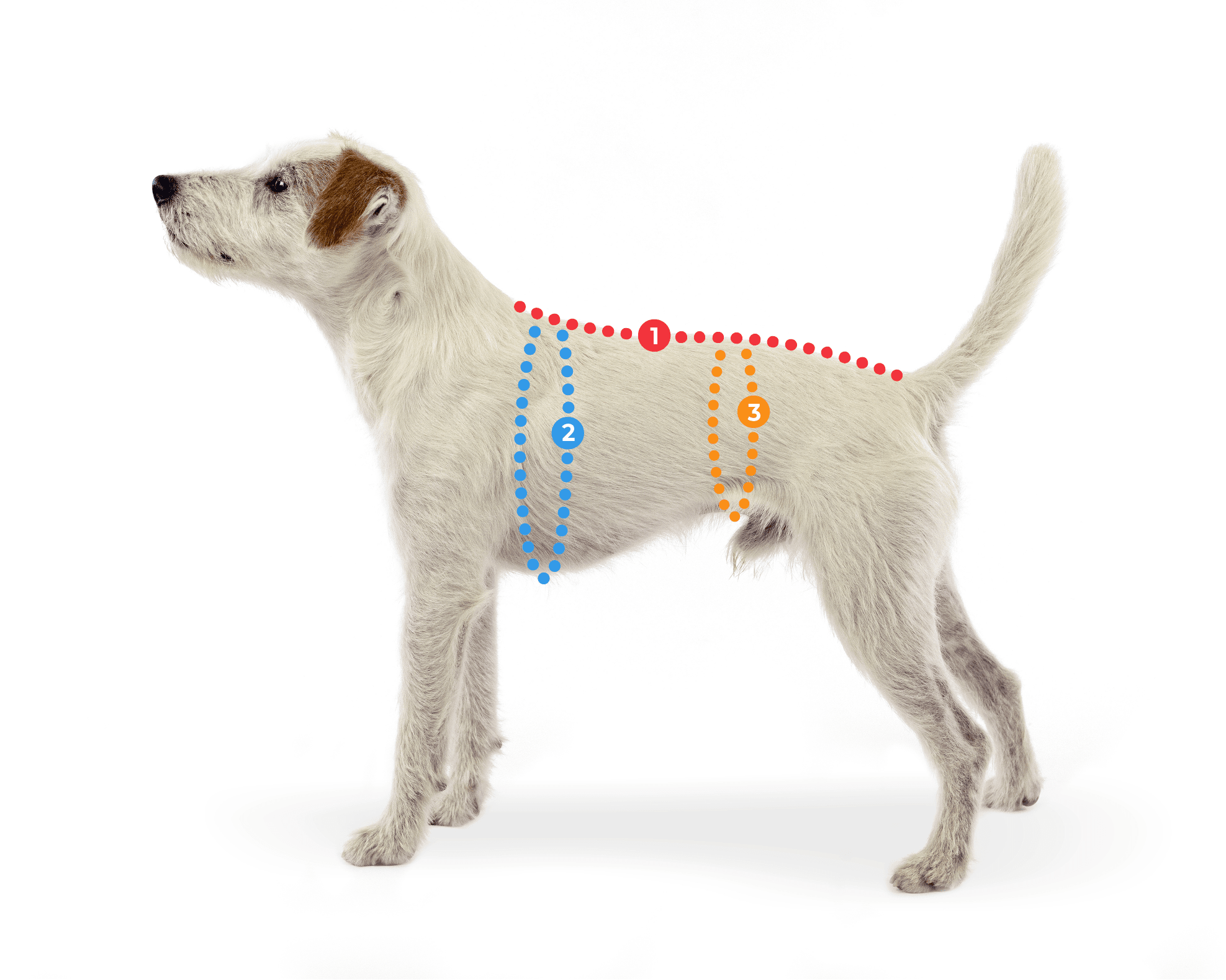 KevytPomppa - gefütterter Regenmantel | Gr. 44 | plum - Beagletuff