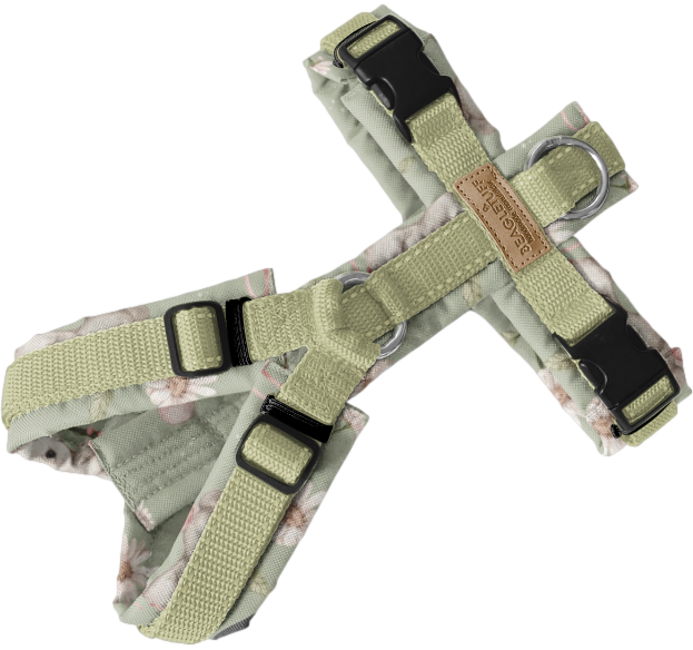 BT EasyWalk® Daisy Olive