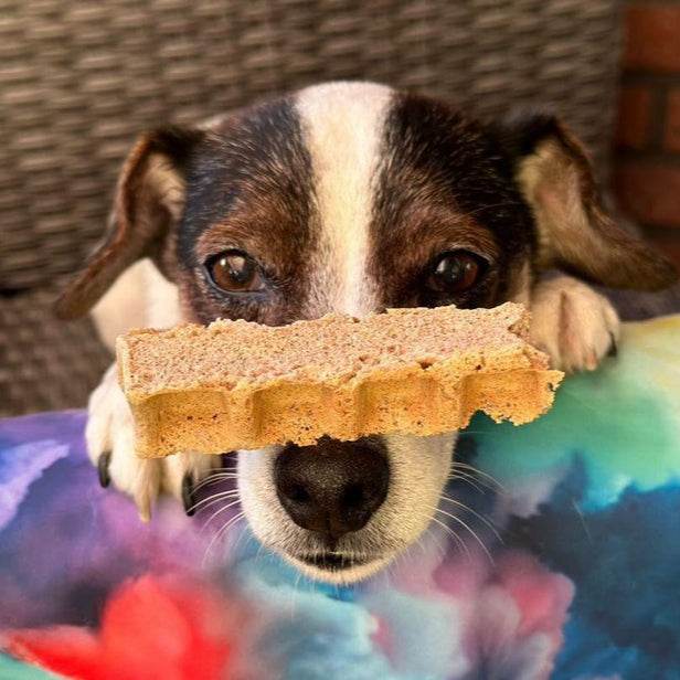 Baltic Biscuits Wuffel-Sticks – Banane oder Hagebutte - Beagletuff