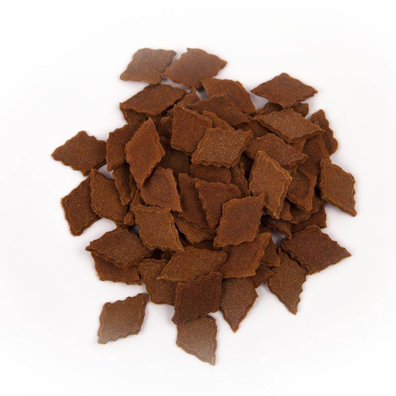 Keksdieb Quark & Zimt - Beagletuff