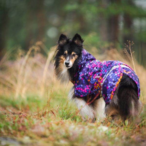 KevytPomppa - gefütterter Regenmantel | Gr. 44 | cosmos - Beagletuff