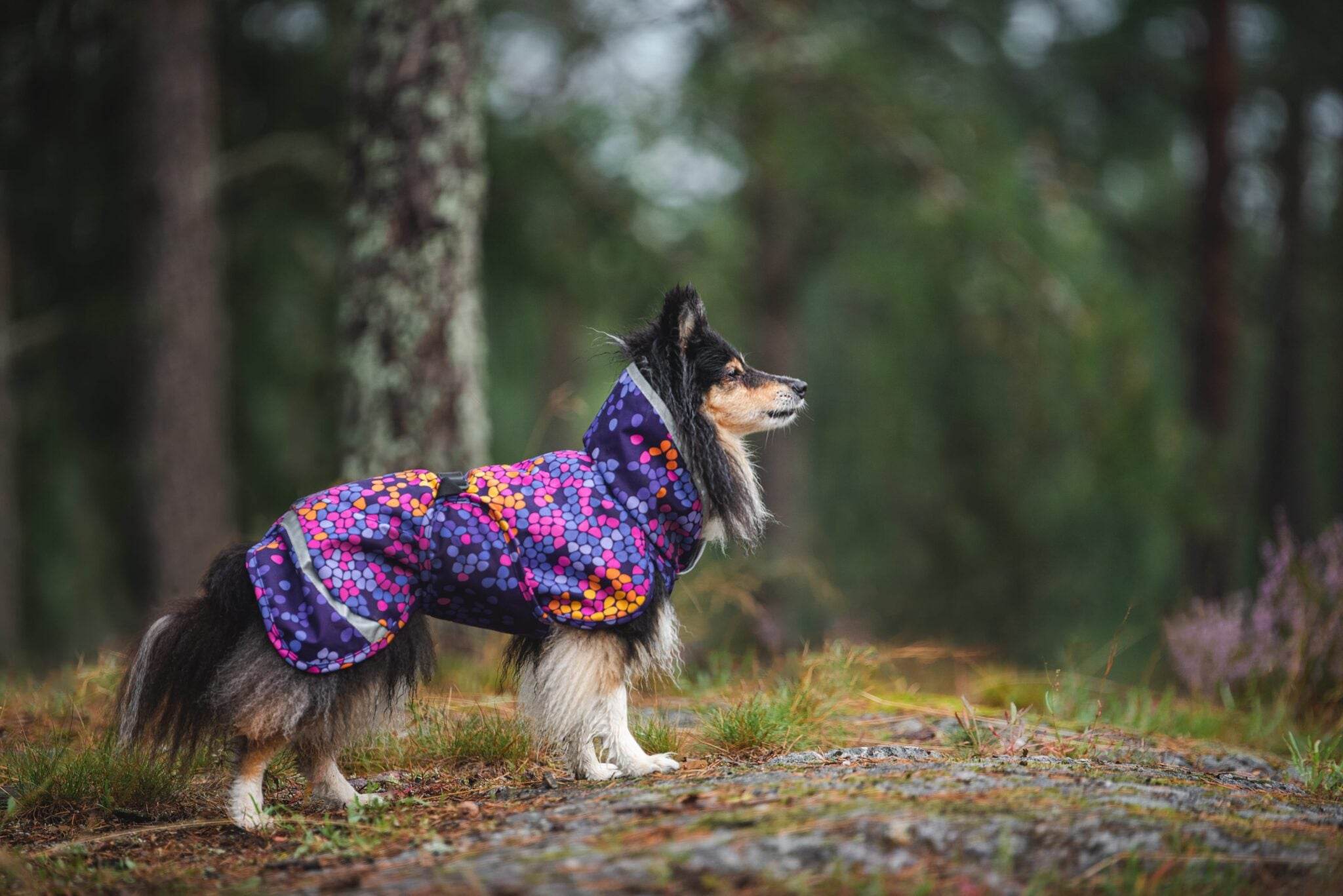 KevytPomppa - gefütterter Regenmantel | Gr. 44 | cosmos - Beagletuff