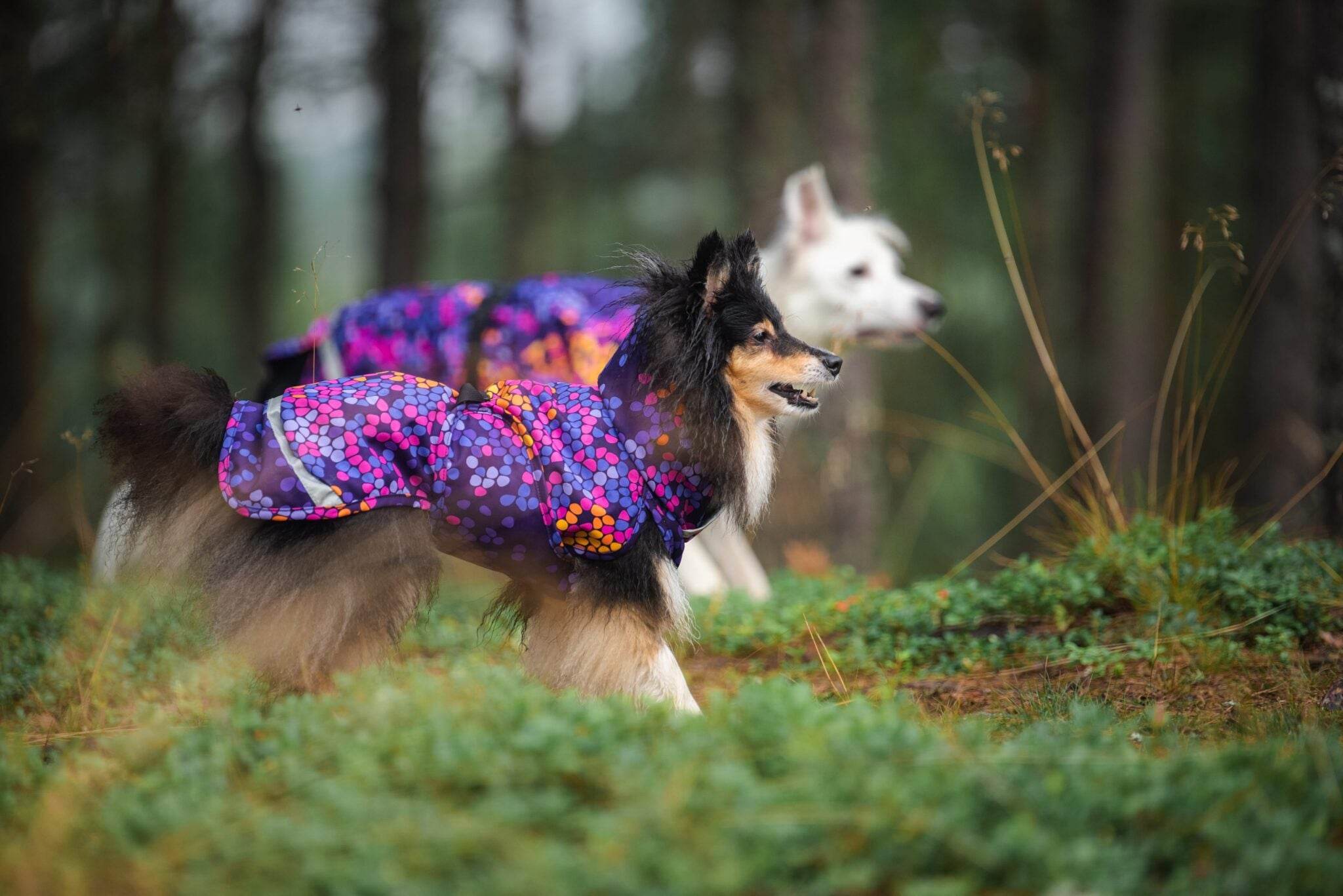 KevytPomppa - gefütterter Regenmantel | Gr. 44 | cosmos - Beagletuff