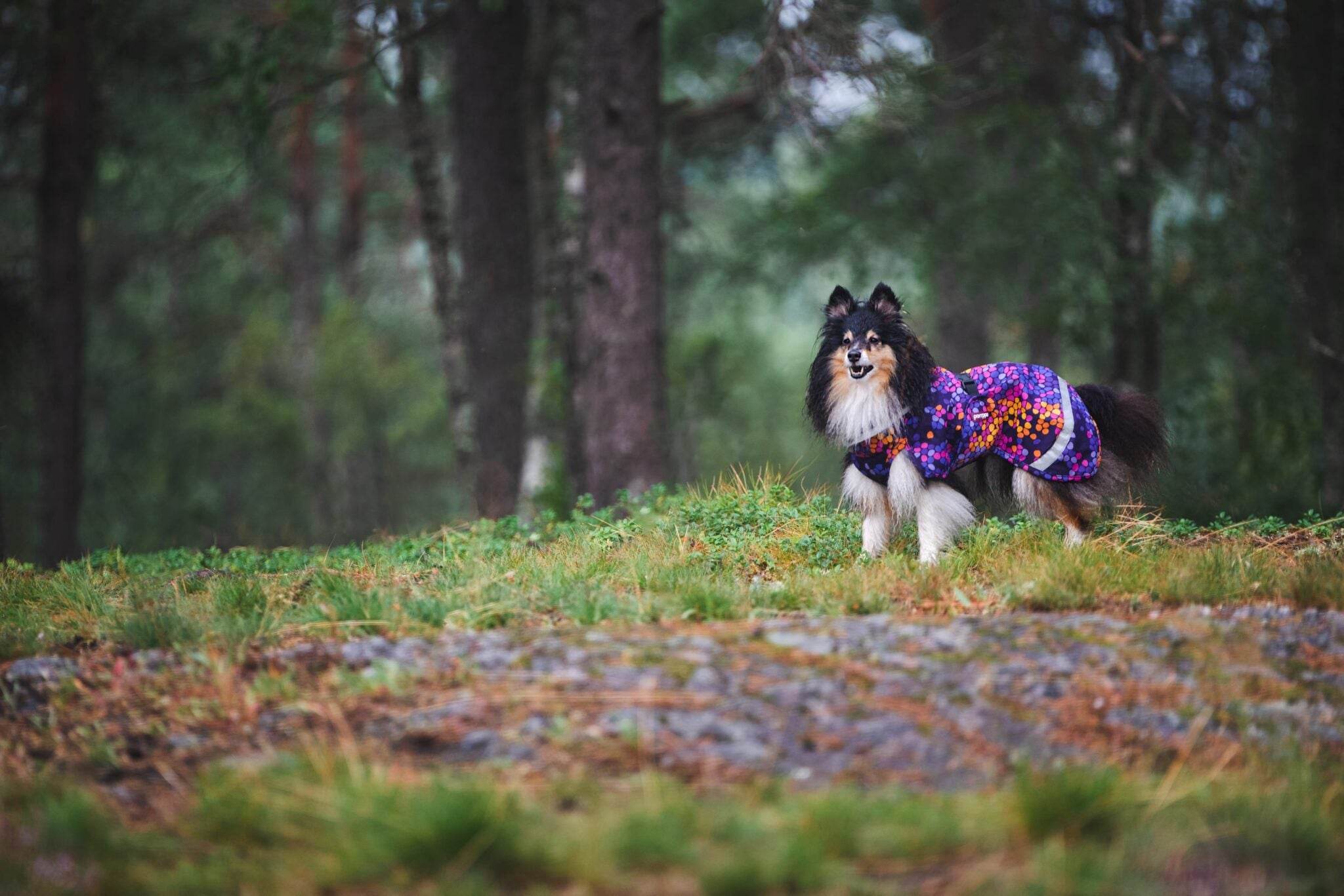 KevytPomppa - gefütterter Regenmantel | Gr. 44 | cosmos - Beagletuff