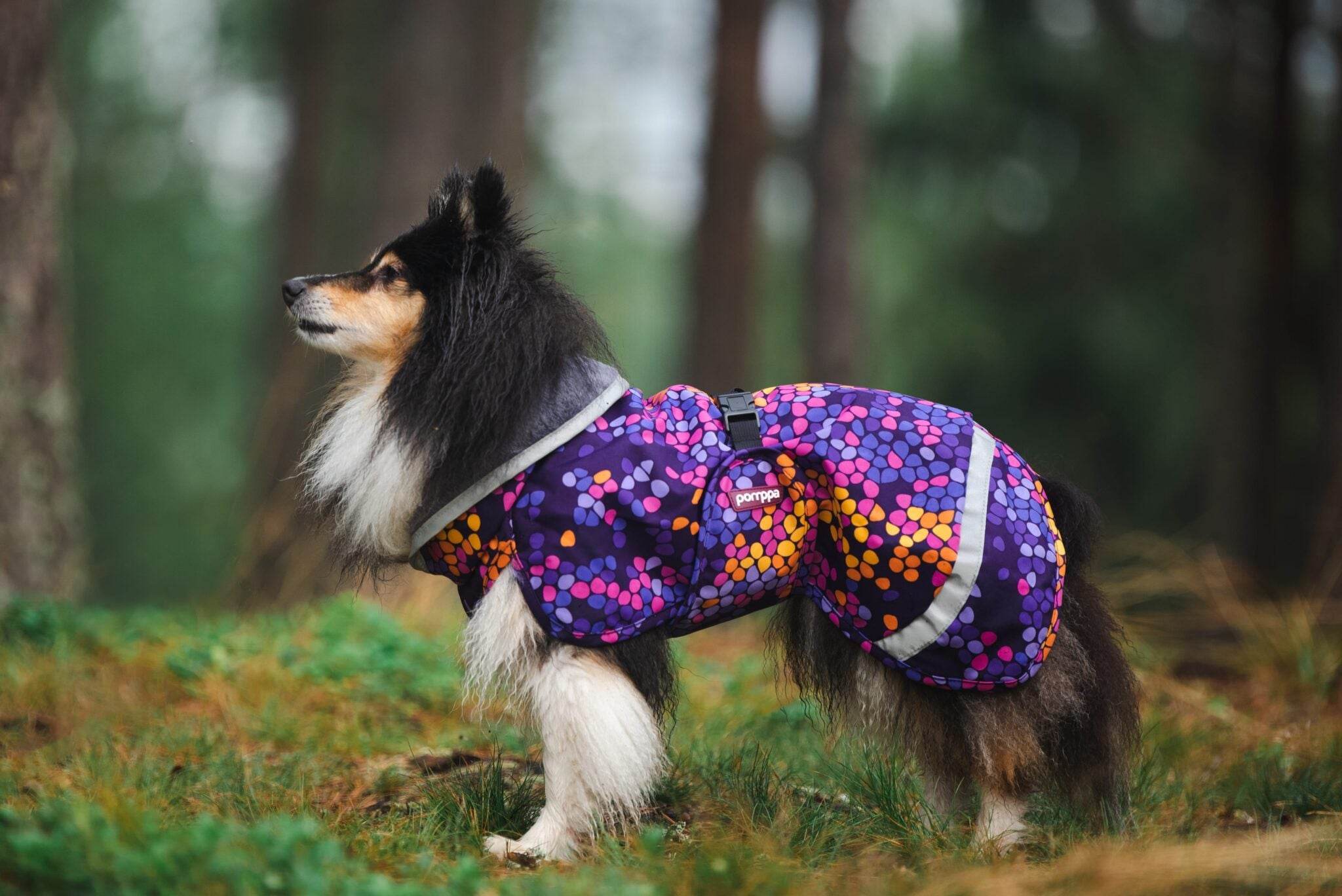 KevytPomppa - gefütterter Regenmantel | Gr. 44 | cosmos - Beagletuff