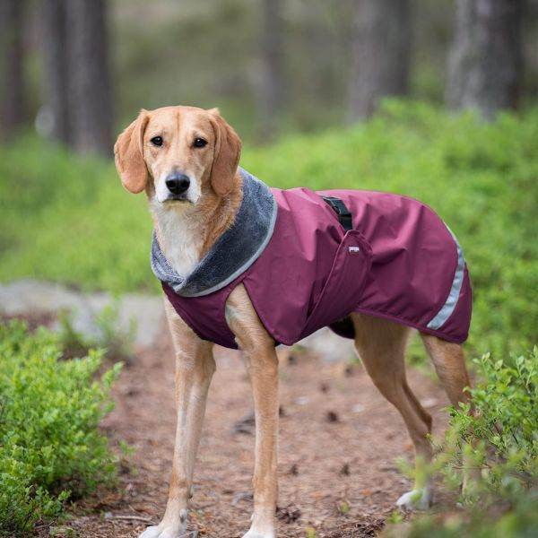 KevytPomppa – Regenmantel mit Geschirröffnung | Gr. 40 | Plum - Beagletuff