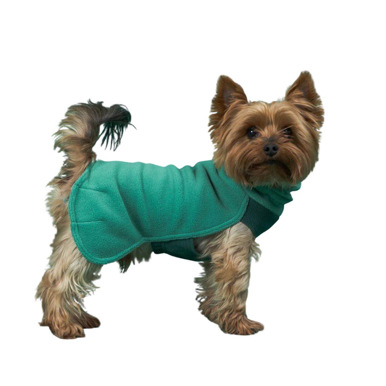 PAIKKA Seawool Shirt Green - Beagletuff
