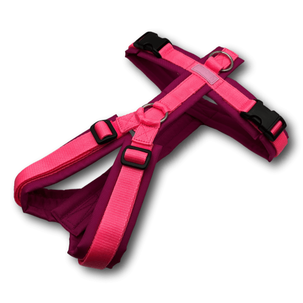 Y-Geschirr BT EasyWalk® Neon Edition pink - Beagletuff