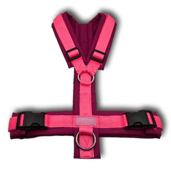 Y-Geschirr BT EasyWalk® Neon Edition pink - Beagletuff