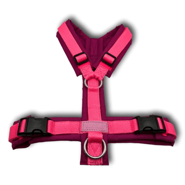 Y-Geschirr BT EasyWalk® Neon Edition pink - Beagletuff