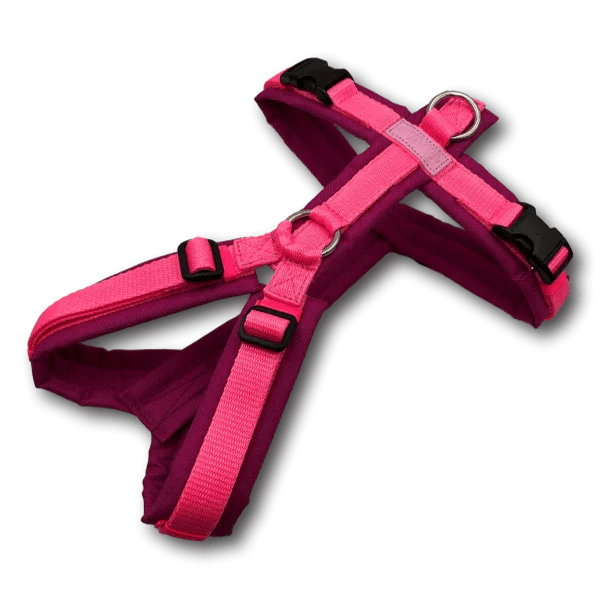 Y-Geschirr BT EasyWalk® Neon Edition pink - Beagletuff