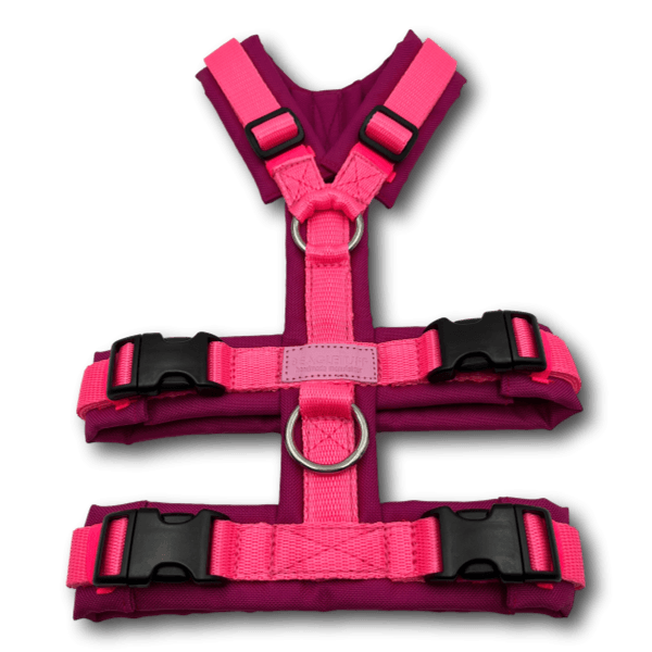 Y-Geschirr BT EasyWalk® Neon Edition pink - Beagletuff