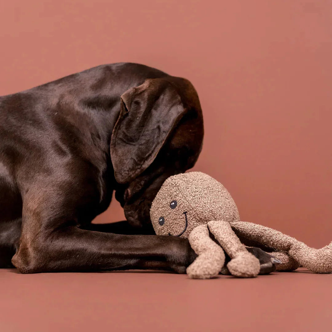 PAIKKA Dog Toy Bouclé Octopus - Beagletuff