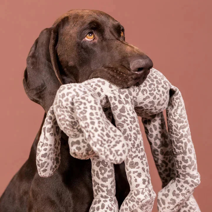 Hund trägt den PAIKKA Stone Leo Hound im Maul – weiches Kuschelspielzeug