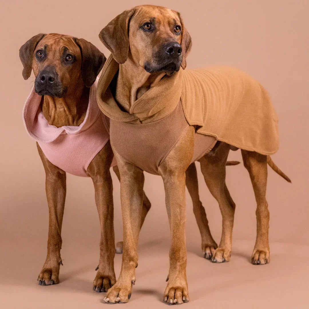 PAIKKA Seawool Hundeshirt Rosa - Beagletuff