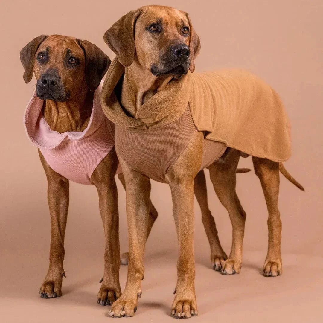 PAIKKA Seawool Hundeshirt Rosa - Beagletuff