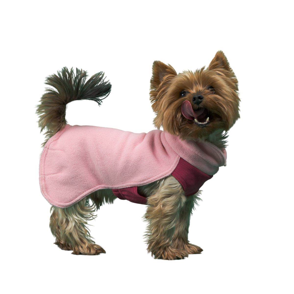 PAIKKA Seawool™ Shirt - Pink - Beagletuff