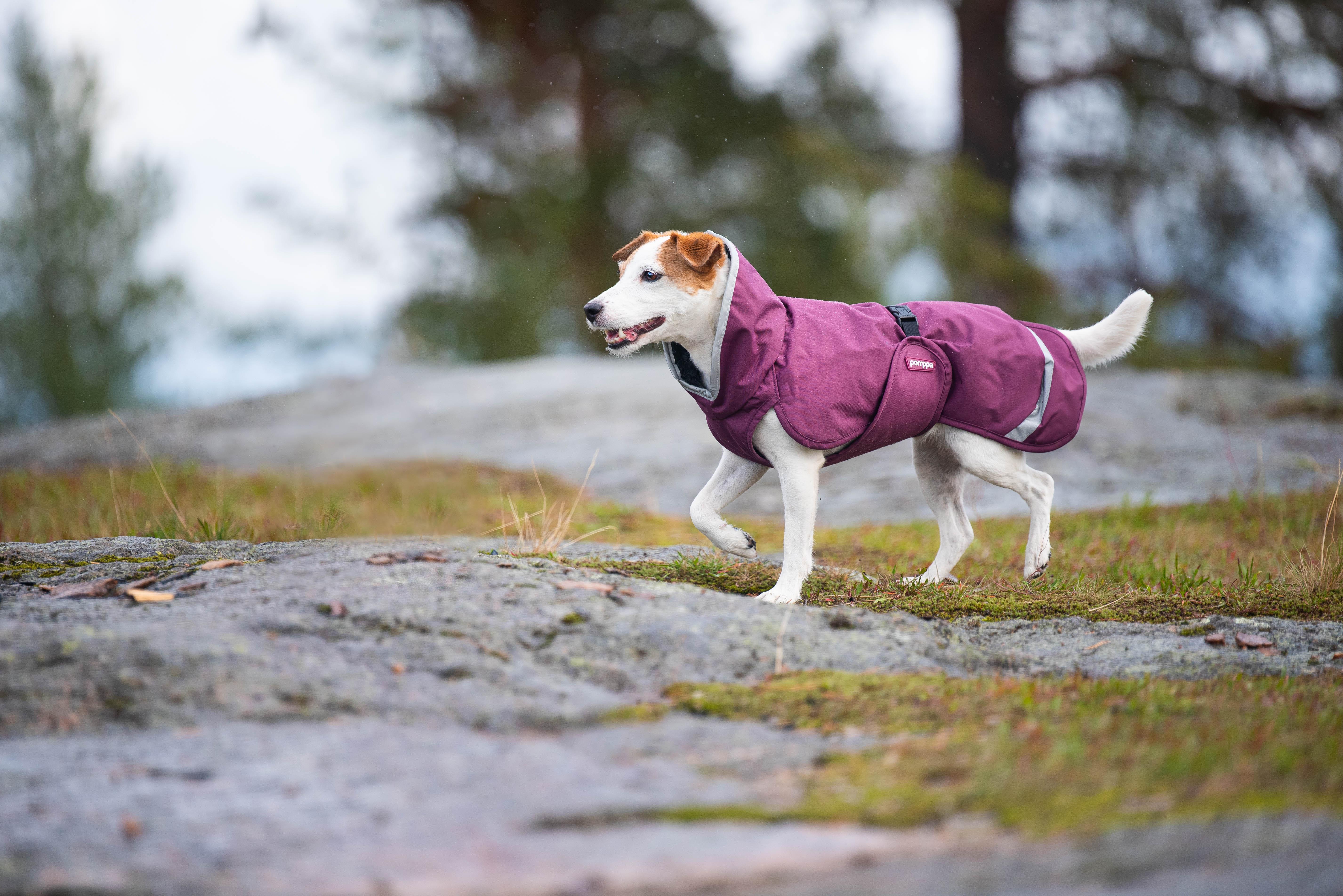 PerusPomppa - Wintermantel | Gr.37 | Plum Produktbild von Beagletuff