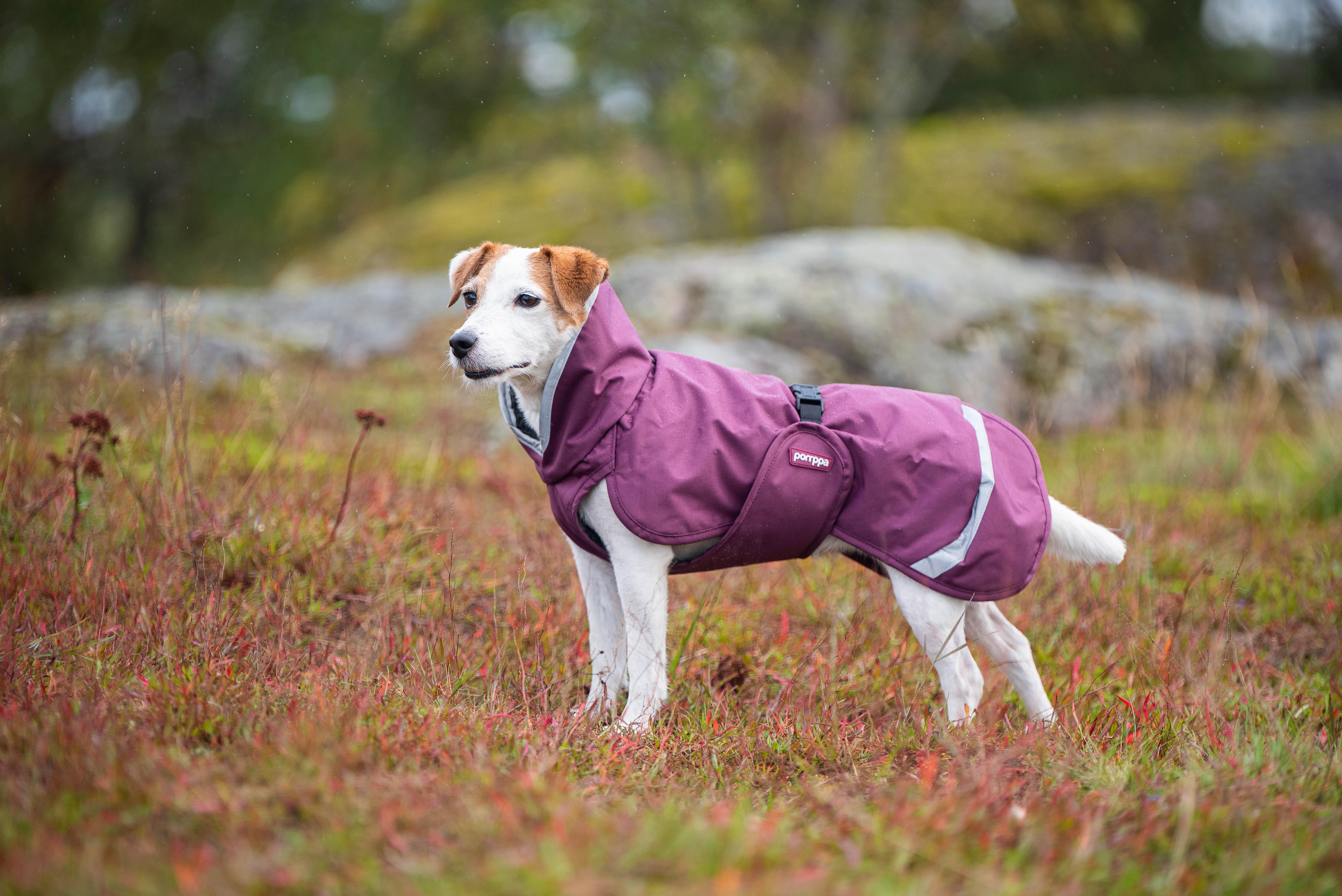 PerusPomppa - Wintermantel | Gr.37 | Plum Produktbild von Beagletuff