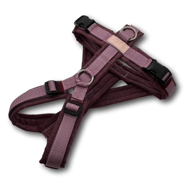 BT EasyWalk® GB – geteilter Bruststeg