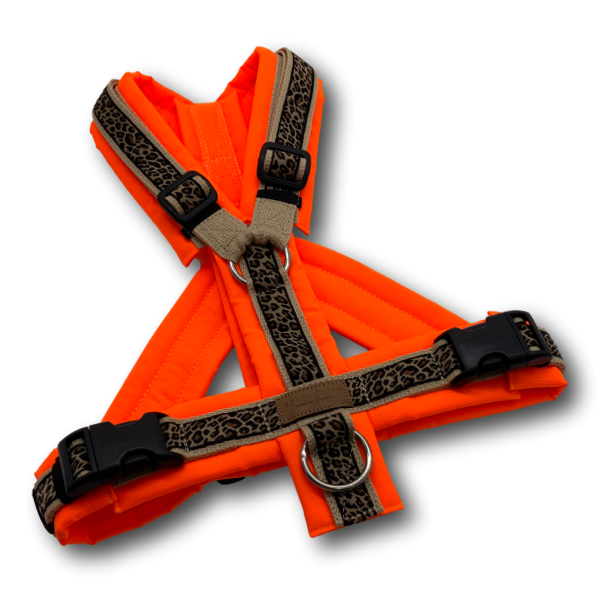 Y-Geschirr BT EasyWalk® Leoliebe beige neonorange