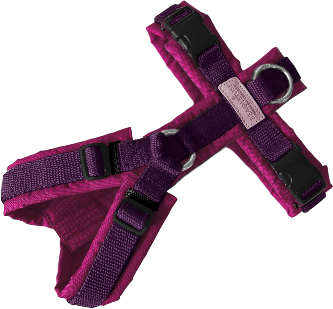 Y-Geschirr BT EasyWalk® Peewee