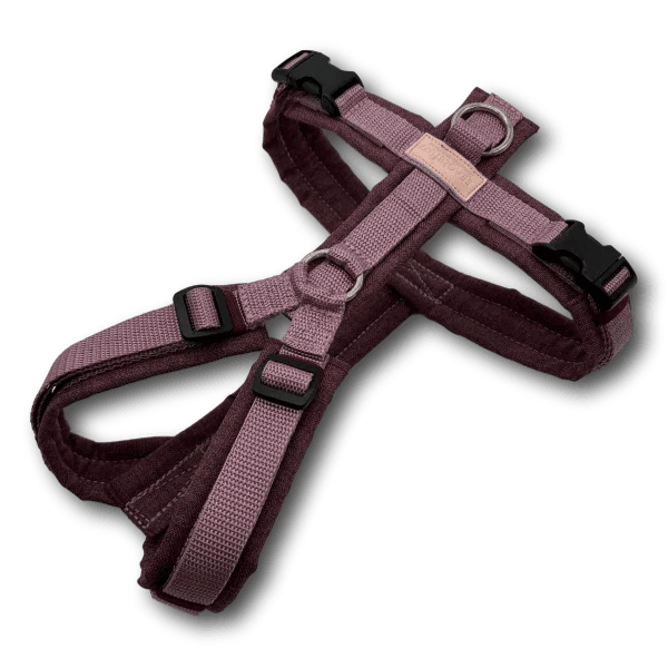 BT EasyWalk® Hundegeschirr in Altrosa und Brombeere mit gepolsterten Gurten, verstellbaren Riemen, schwarzen Schnallen und Edelstahlringen