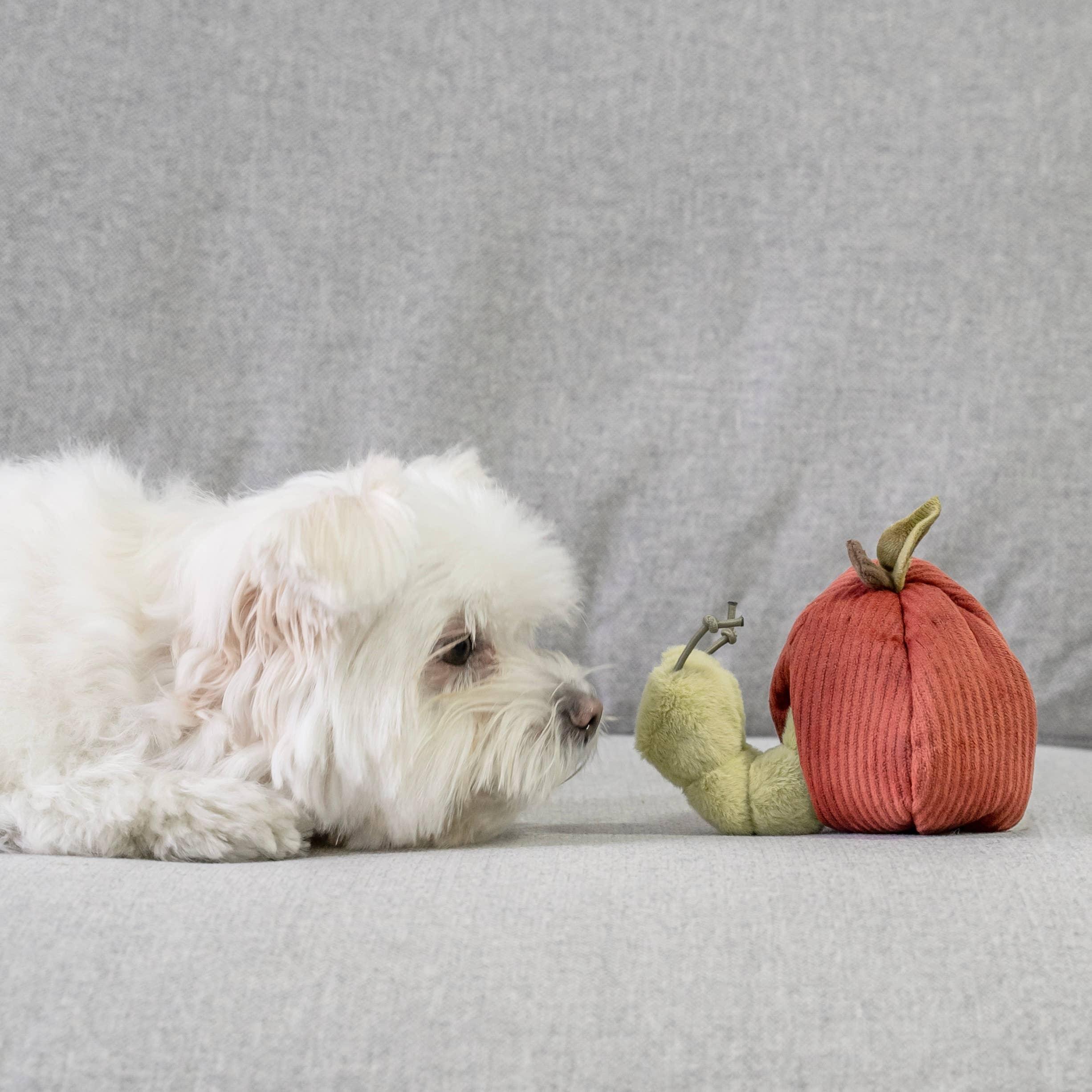 Lambwolf Apple Versteckspielzeug mit Raupe - Beagletuff