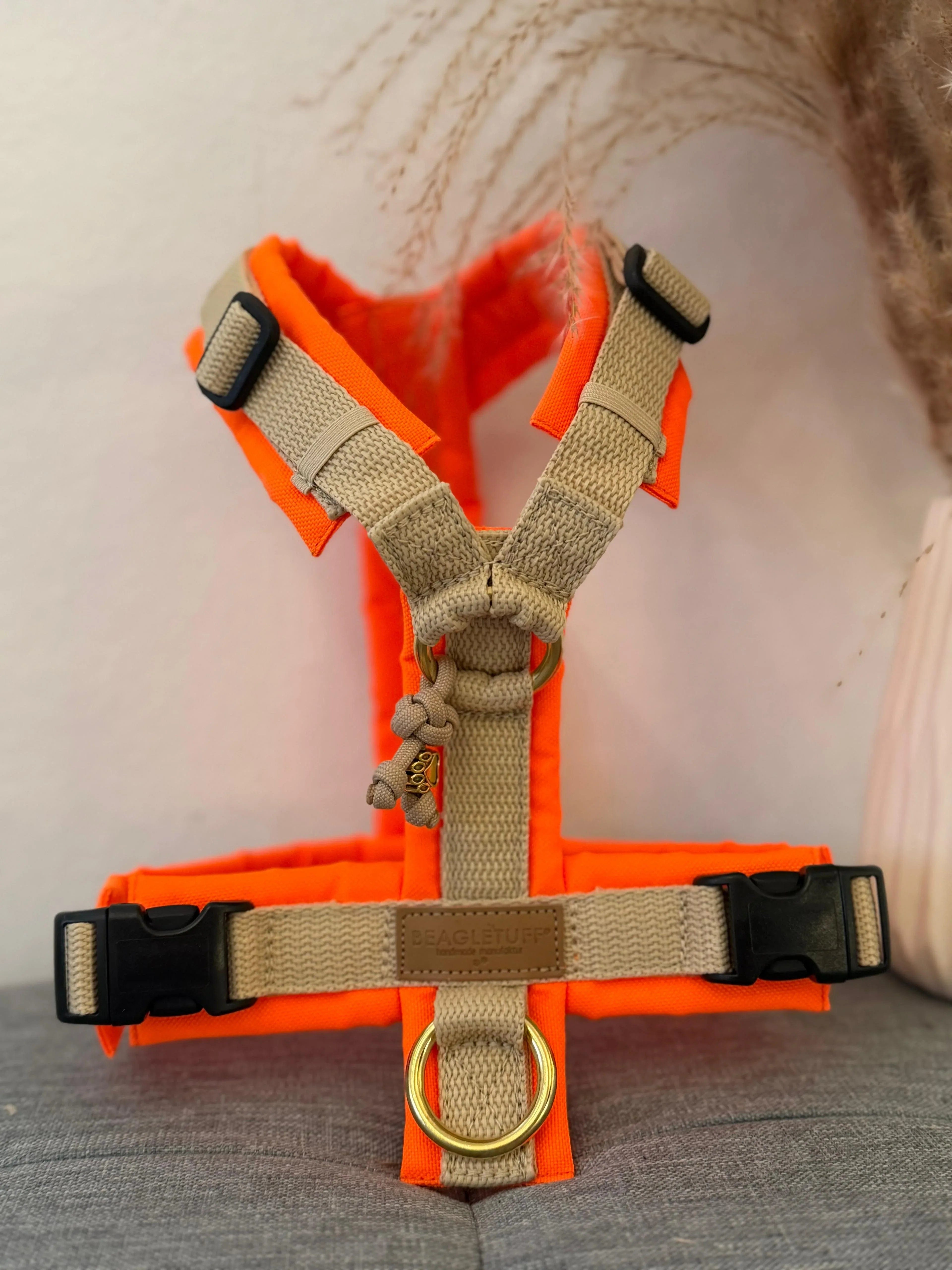 Hundegeschirr in Neonorange und beige mit gepolsterten Rändern und verstellbaren Gurten, Y-förmig, mit schwarzer Klickverschluss-Schnalle un